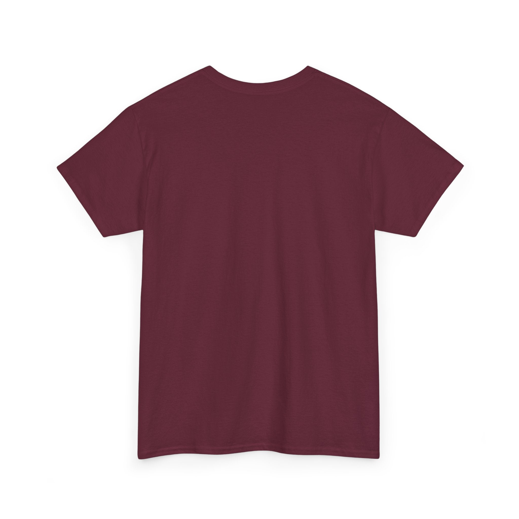 Aspire to Inspire T-Shirt | Inspirational Typography Tee