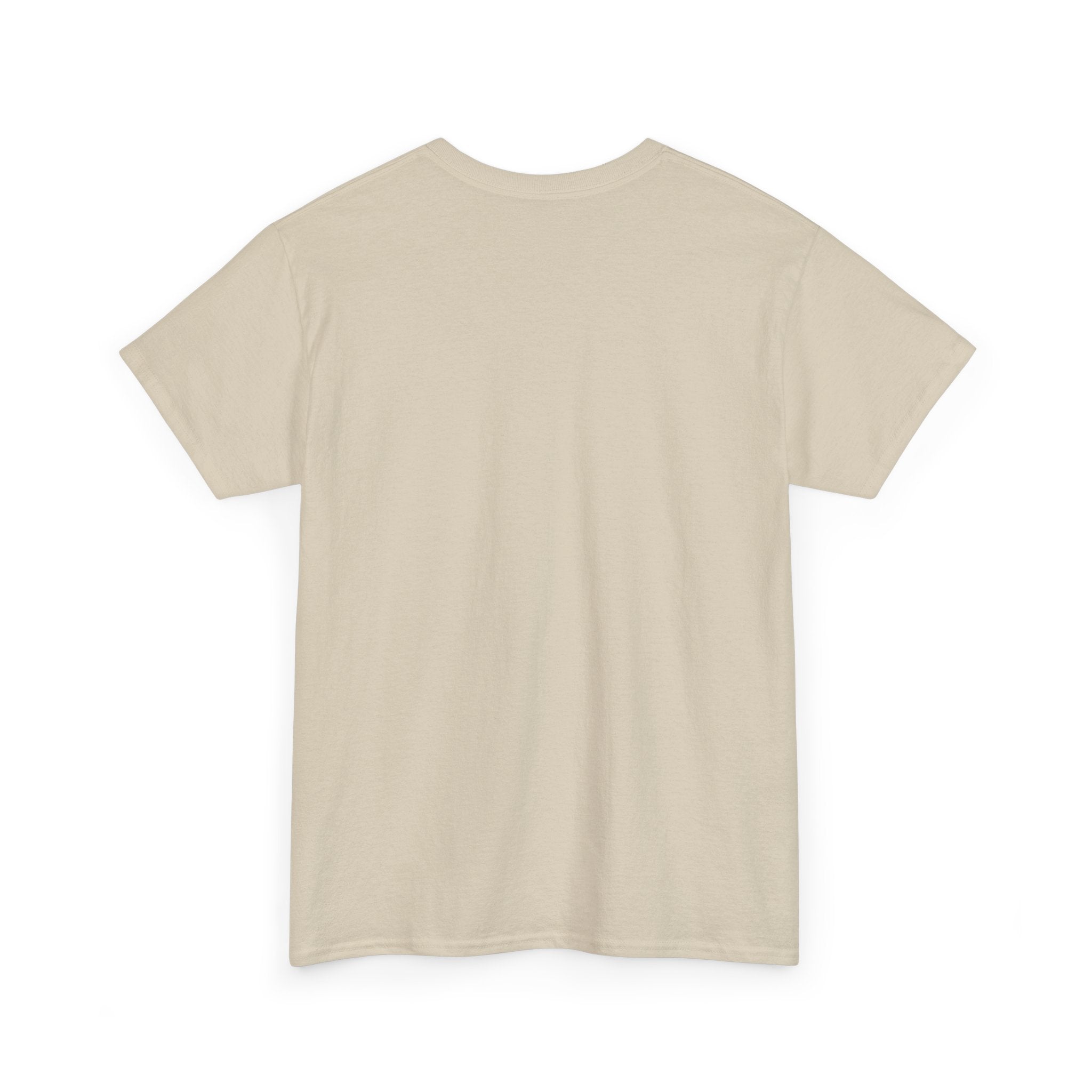 Aspire to Inspire T-Shirt | Inspirational Typography Tee